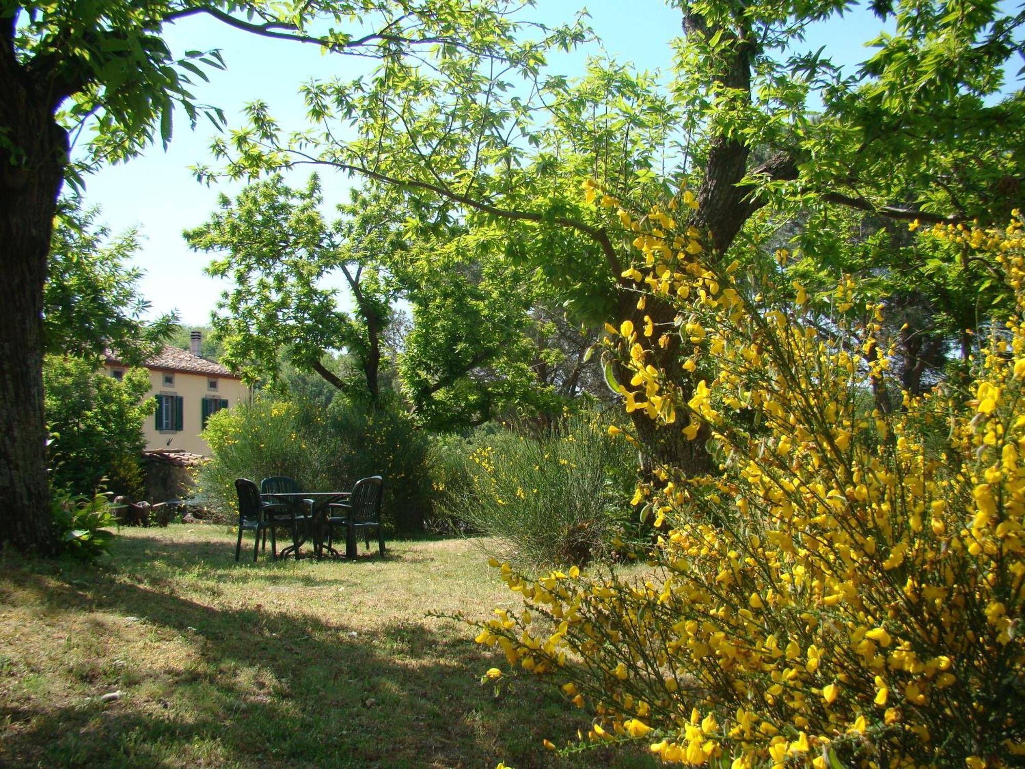 Borgo Tepolini Country House Кастель-дель-Пьяно Экстерьер фото