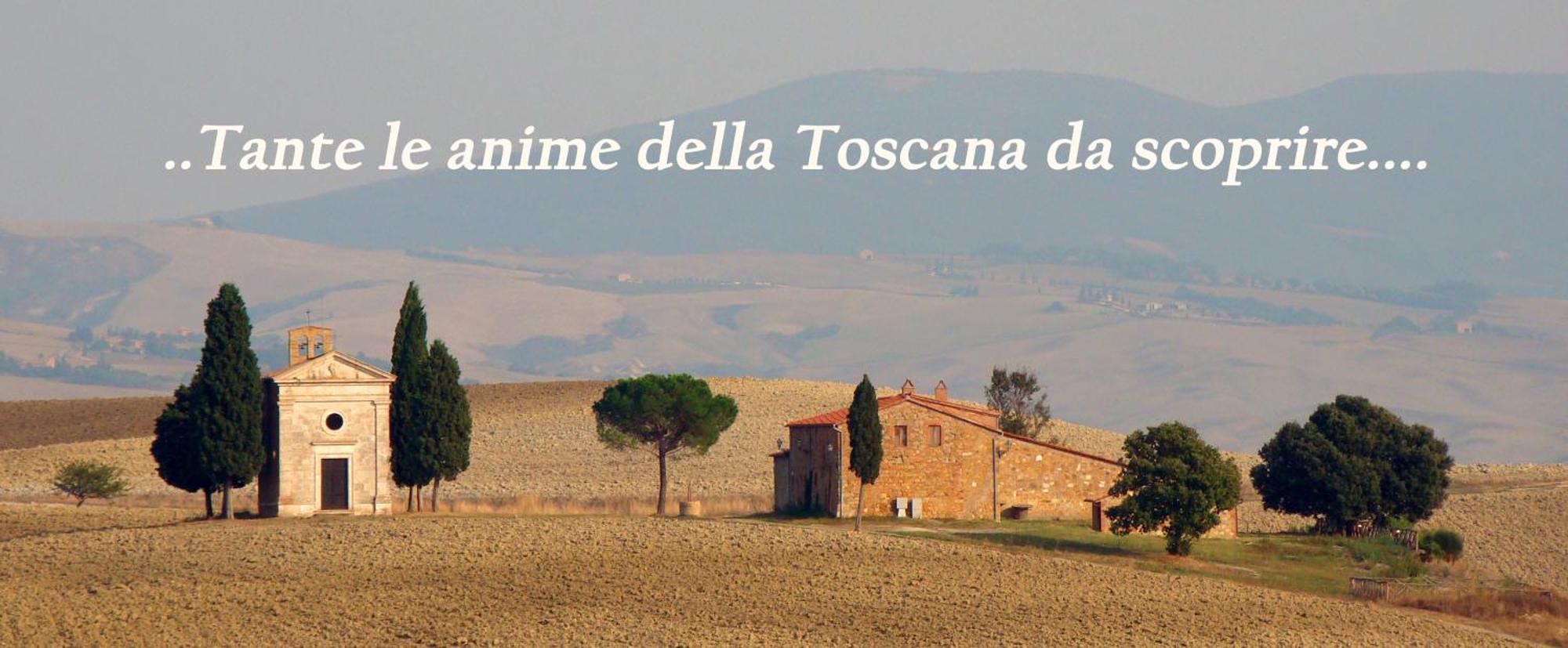 Borgo Tepolini Country House Кастель-дель-Пьяно Экстерьер фото